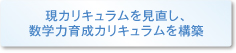 現カリキュラムを見直し、数学力育成カリキュラムを構築