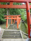 Shinto gates